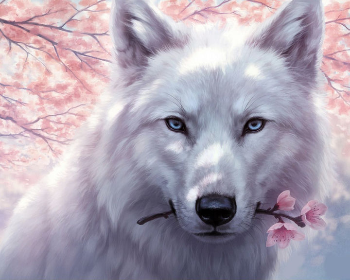 Paint By Numbers - White Wolf With A Branch In Its Mouth - Framed- 40x50cm - Arterium 