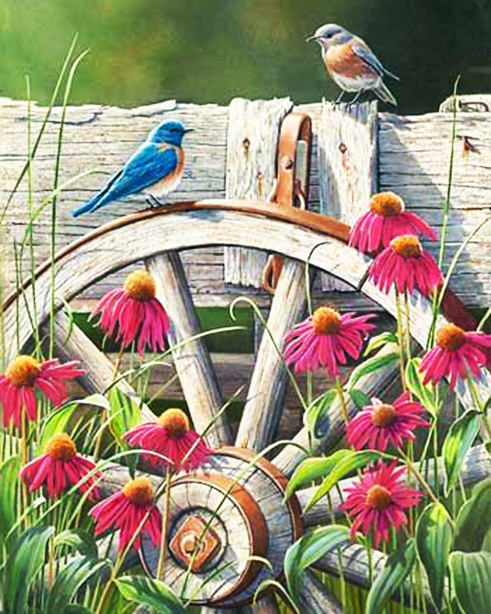 Paint By Numbers - Wooden Wheel With Blue Bird On Top - Framed- 40x50cm - Arterium 