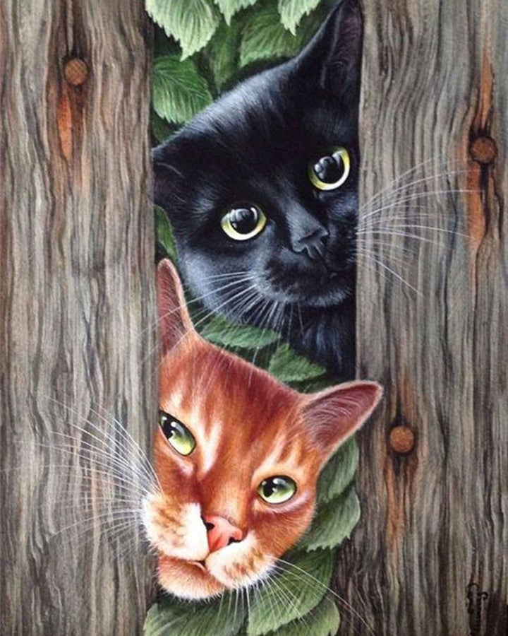 Paint By Numbers - Two Cats Looking Through The Fence - Framed- 40x50cm - Arterium 