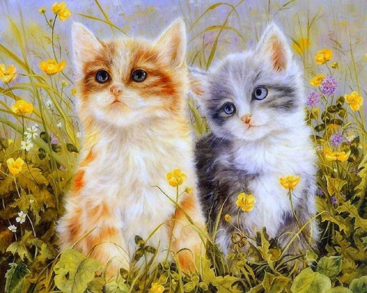 Paint By Numbers - Two Cats Brown And Grey In The Field - Framed- 40x50cm - Arterium 
