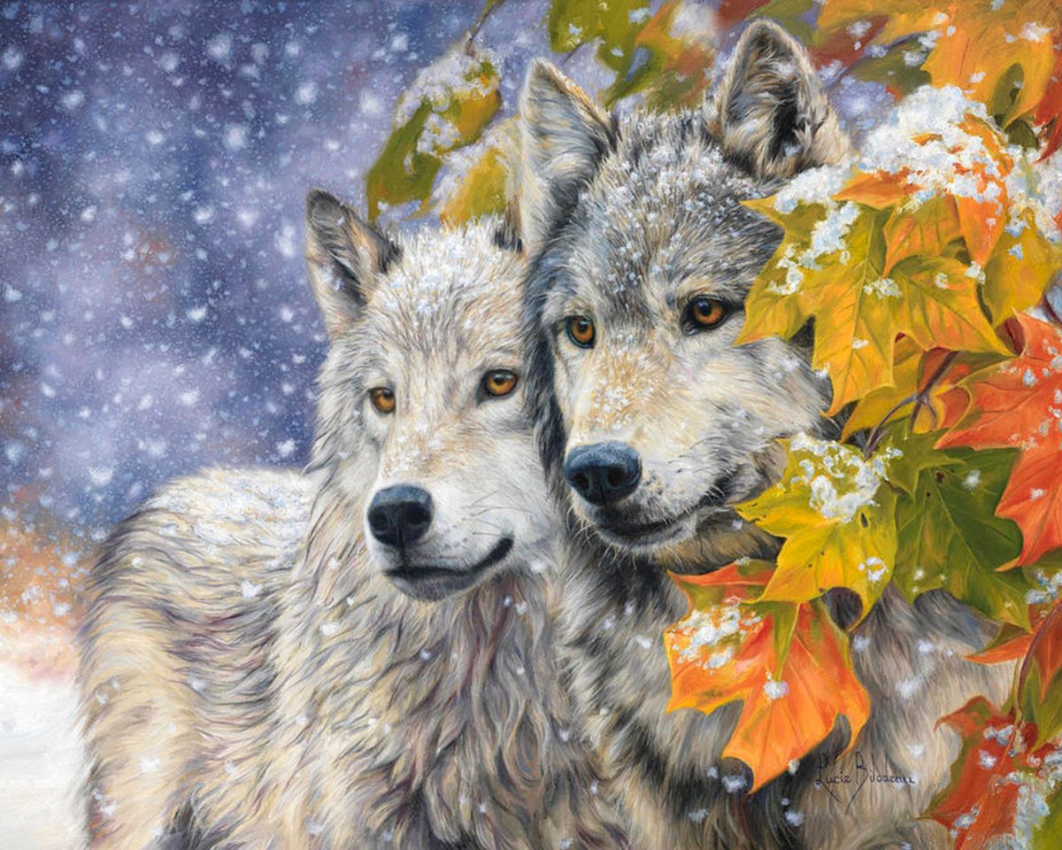 Paint By Numbers - Two Grey Wolves In Autumn - Framed- 40x50cm - Arterium 