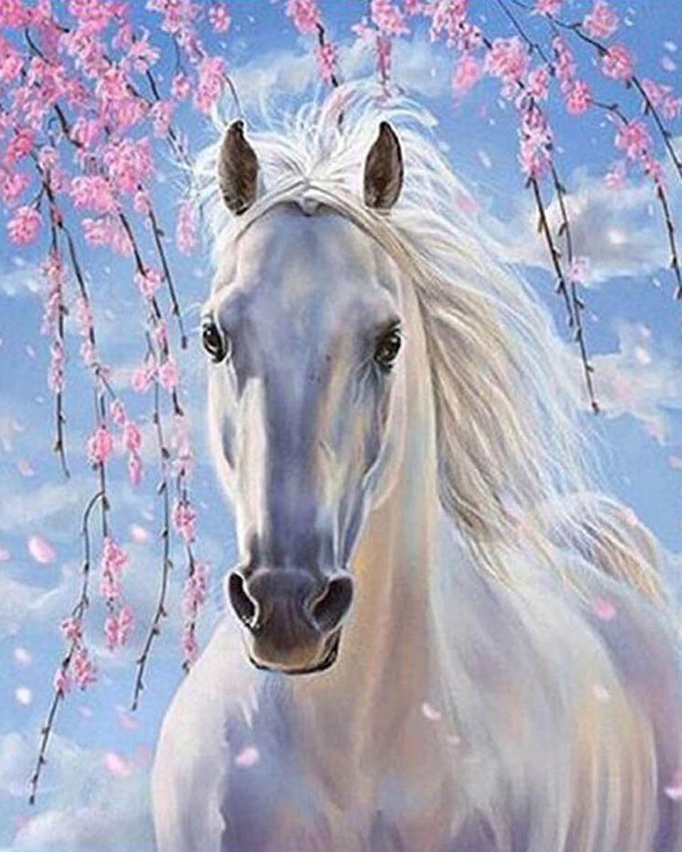 Paint By Numbers - White Horse & Blue Sky Background - Framed- 40x50cm - Arterium 