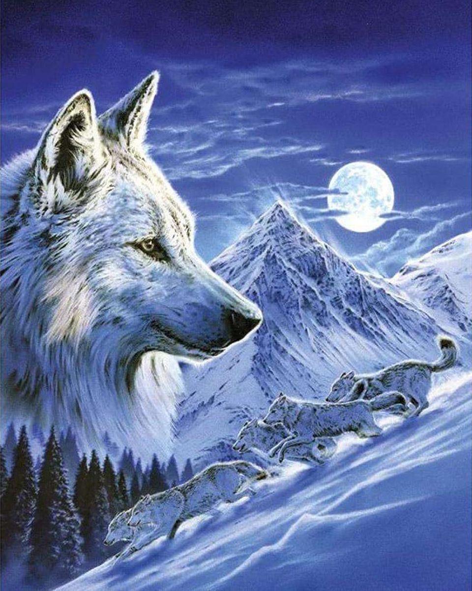 Paint By Numbers - White Wolf At Winter With The Moon Behind - Framed- 40x50cm - Arterium 