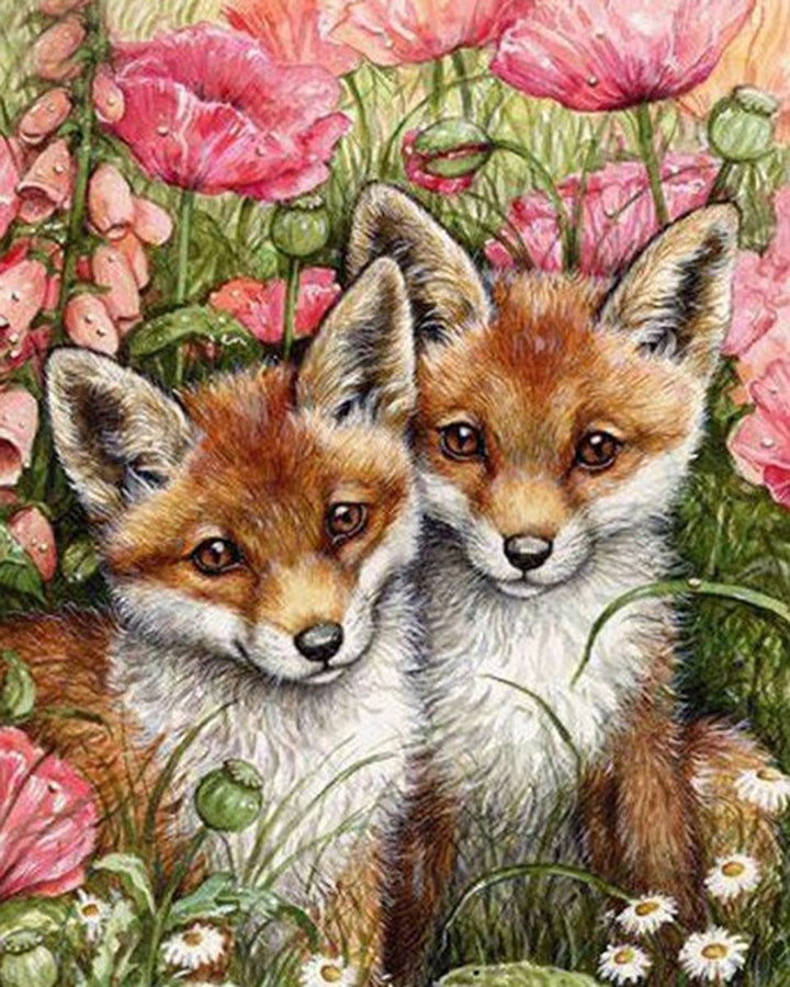 Paint By Numbers - Two Foxes In A Field - Framed- 40x50cm - Arterium 