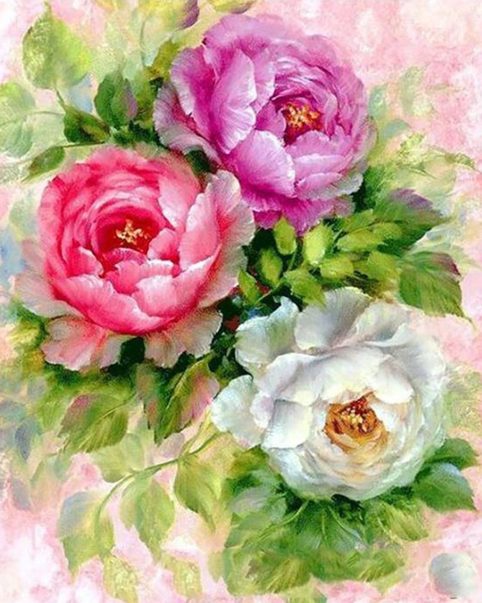 Paint By Numbers - Pink, Purple, White Peony'S - Framed- 40x50cm - Arterium 