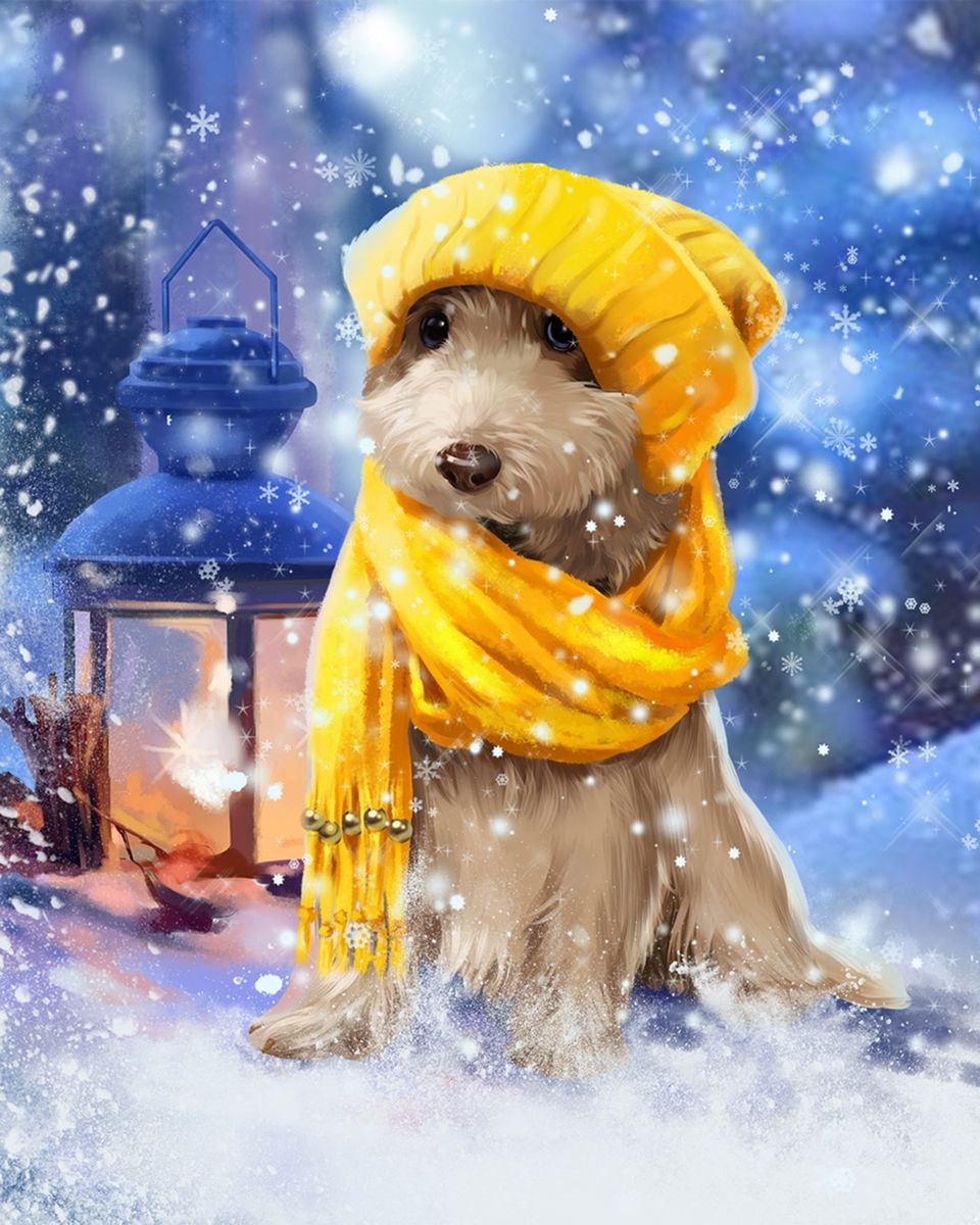 Paint By Numbers - Puppy In The Yellow Hat During Winter - Framed- 40x50cm - Arterium 