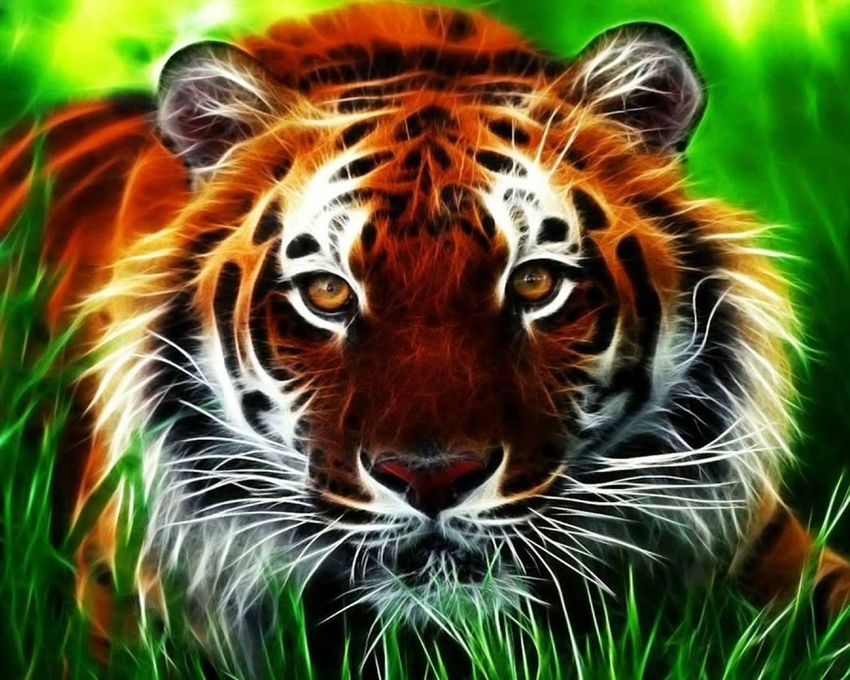 Paint By Numbers - Close-Up Tiger Portrait In Natural Habitat - Framed- 40x50cm - Arterium 