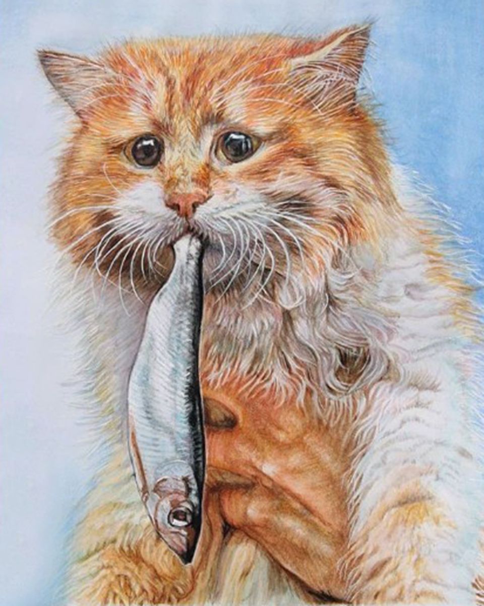 Paint By Numbers - Striking Orange And White Cat With Fish - Framed- 40x50cm - Arterium 