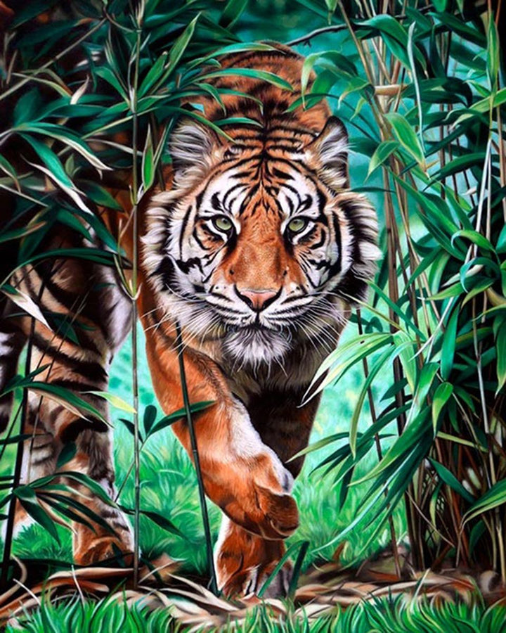 Paint By Numbers - Intense Stalking Tiger Amidst Bamboo - Framed- 40x50cm - Arterium 