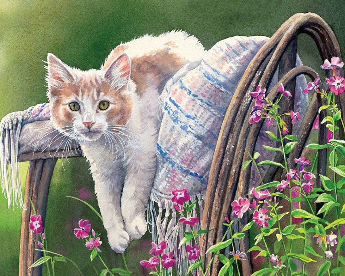 Paint By Numbers - Tranquil Outdoor Scene: Adorable Kitten On Wooden Chair - Framed- 40x50cm - Arterium 