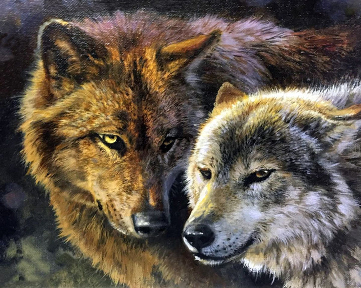 Paint By Numbers - Wolves In Contemplation: A Captivating Encounter - Framed- 40x50cm - Arterium 