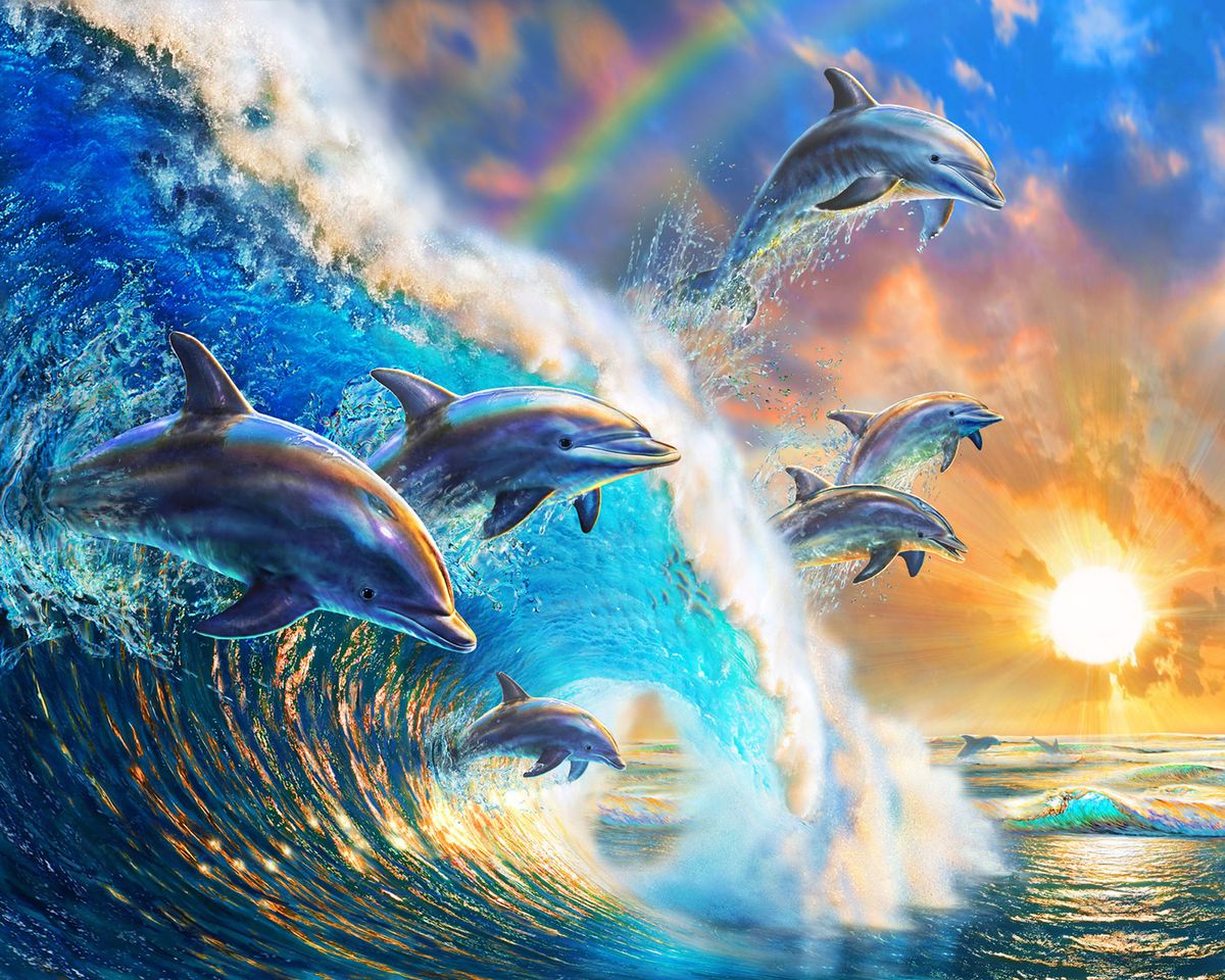 Paint By Numbers - Dolphins Jumping In A Dreamy Sunset - Framed- 40x50cm - Arterium 