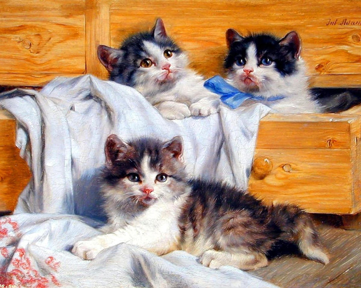 Paint By Numbers - Adorable Trio Of Kittens On Chair, Gazing Left, With Wooden Chest In Background - Framed- 40x50cm - Arterium 