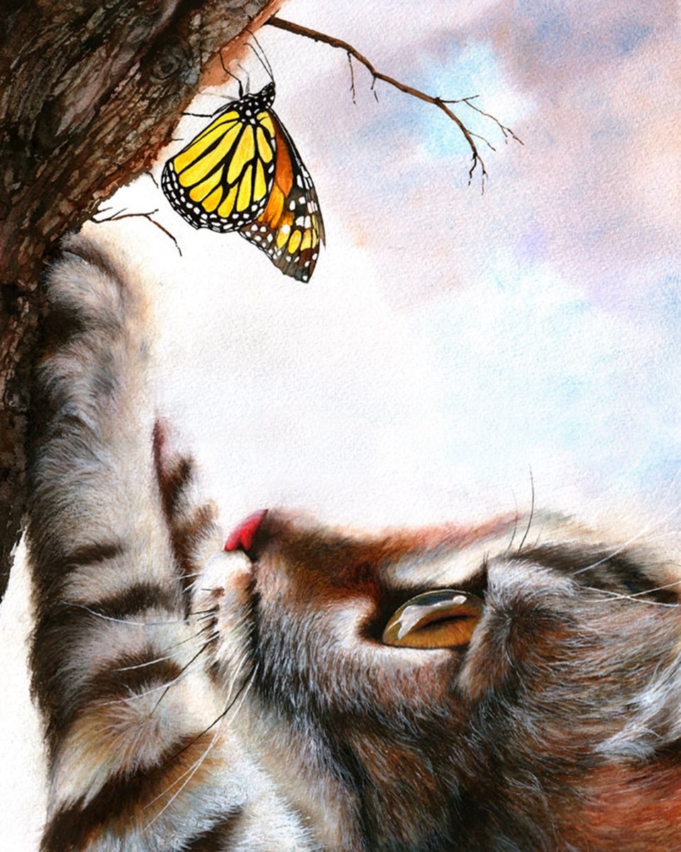Paint By Numbers - Tranquil Garden Encounter: Kitten And Butterfly In Playful Harmony - Framed- 40x50cm - Arterium 