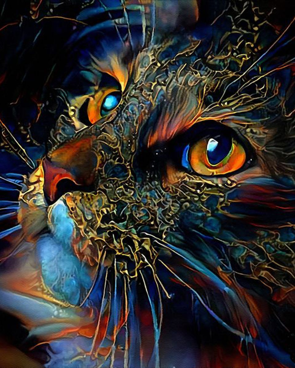 Paint By Numbers - Mysterious Cat: Vibrant Digital Painting With Orange And Blue Palette - Framed- 40x50cm - Arterium 