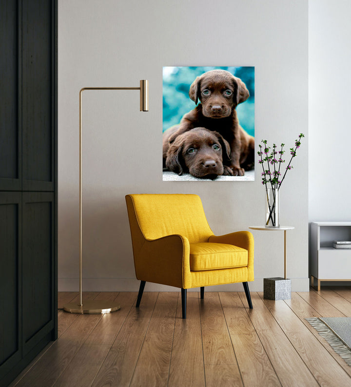 Paint By Numbers - Captivating Chocolate Lab Puppies: Curiosity And Wisdom In A Warm And Vital Image - Framed- 40x50cm - Arterium 