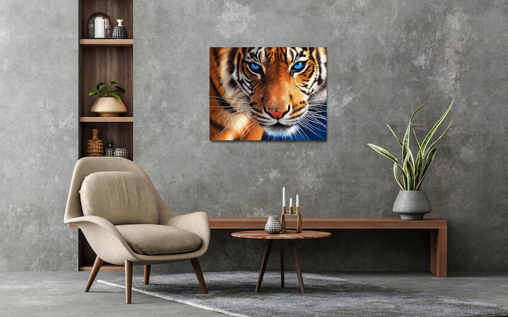 Paint By Numbers - Tiger With Blue Eyes - Framed- 40x50cm - Arterium 
