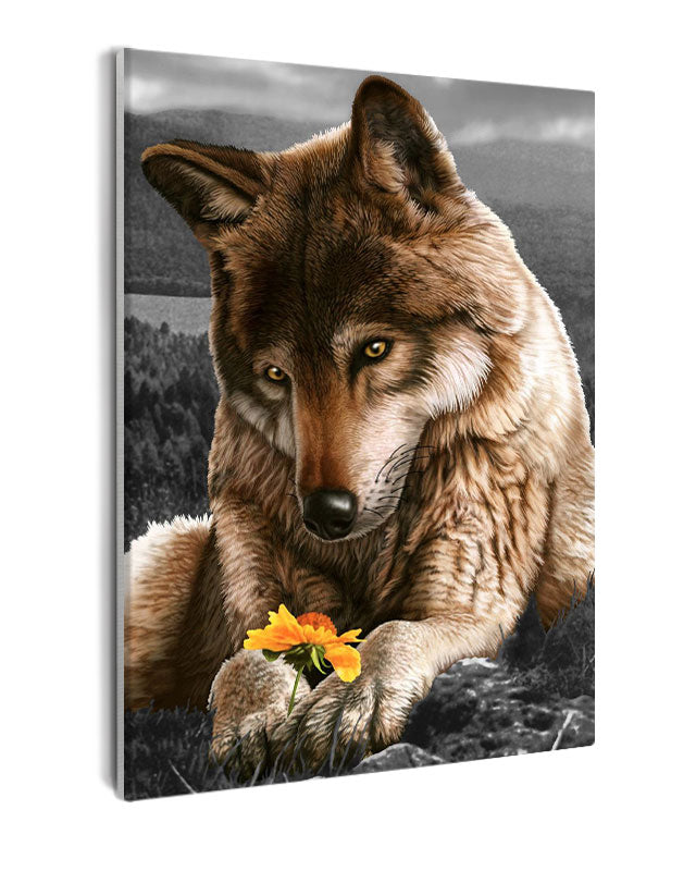 Paint By Numbers - Captivating Wolf Portrait With Flower: A Peaceful And Tender Depiction - Framed- 40x50cm - Arterium 