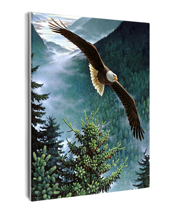 Paint By Numbers - Bald Eagle Soaring Over Majestic Forest And River - Framed- 40x50cm - Arterium 