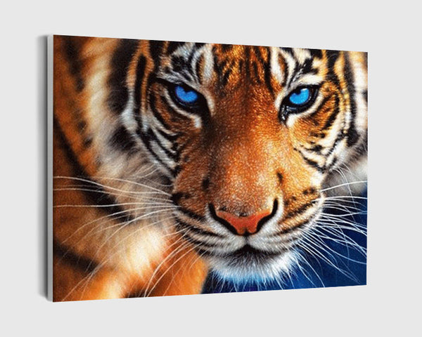 Paint By Numbers - Tiger With Blue Eyes - Framed- 40x50cm - Arterium 