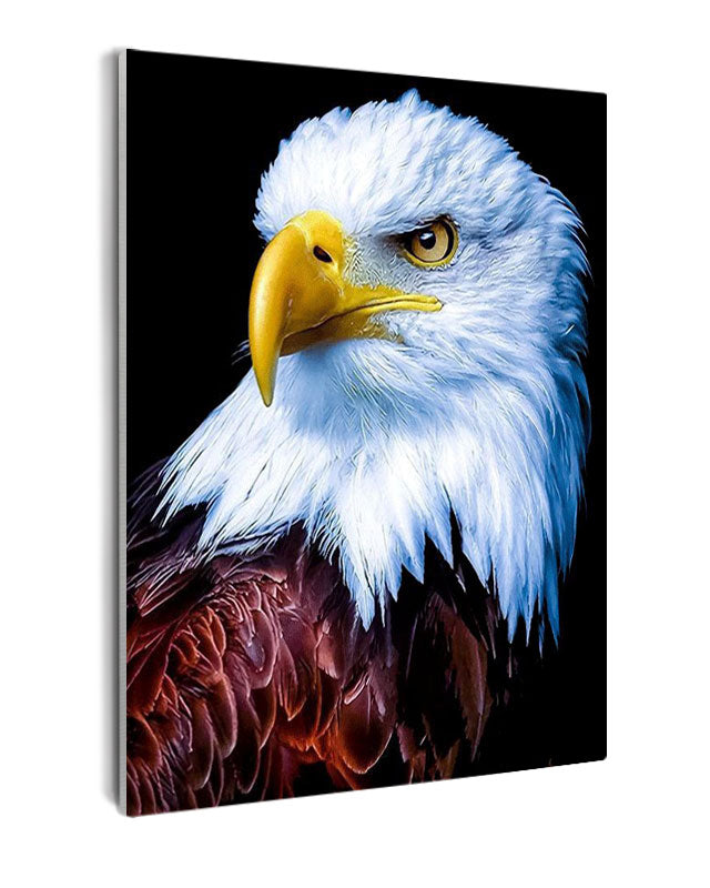 Paint By Numbers - Bald Eagle Close-Up: Majestic And Alert With Vibrant Yellow Eyes - Framed- 40x50cm - Arterium 