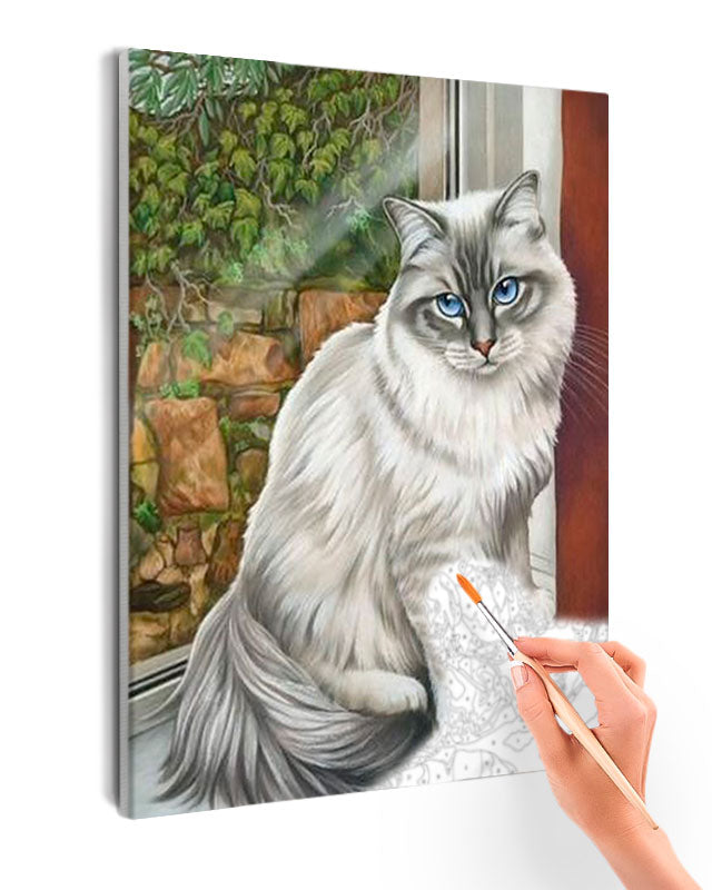 Paint By Numbers - Cozy Cat On Windowsill With Nostalgic Backdrop - Framed- 40x50cm - Arterium 
