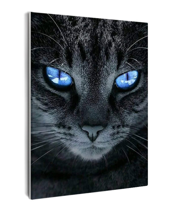 Paint By Numbers - Captivating Blue-Eyed Cat: A Serene And Mysterious Close-Up - Framed- 40x50cm - Arterium 