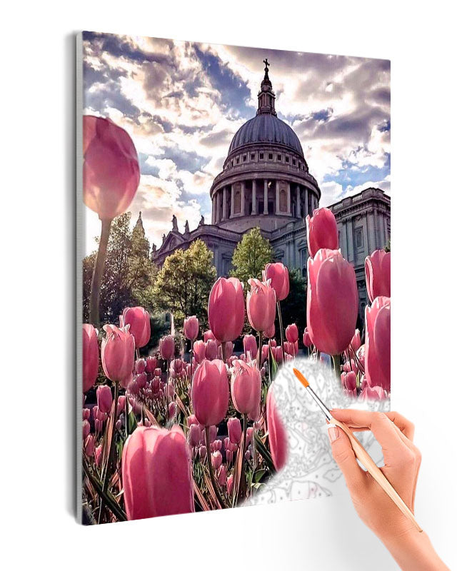 Paint By Numbers - Serene Pink Tulip Field And St. Paul'S Cathedral: A Harmonious Contrast - Framed- 40x50cm - Arterium 