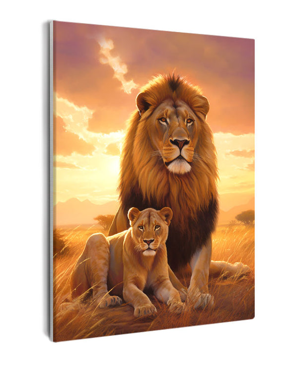 Paint By Numbers - Golden Sunset Encounter: Two Lions On The Savannah - Framed- 40x50cm - Arterium 