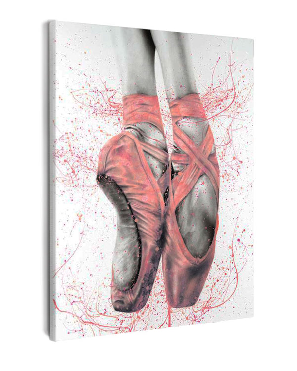 Paint By Numbers - Feet On Tip Toes In Ballet Shoes - Framed- 40x50cm - Arterium 