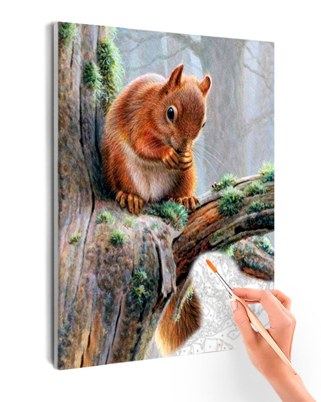 Paint By Numbers - Squirrel On The Branch Of A Tree Close-Up - Framed- 40x50cm - Arterium 