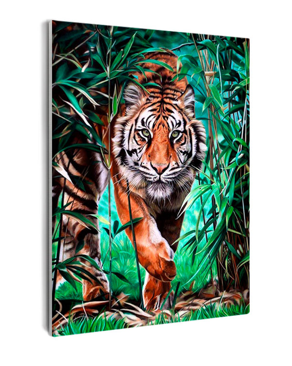 Paint By Numbers - Intense Stalking Tiger Amidst Bamboo - Framed- 40x50cm - Arterium 