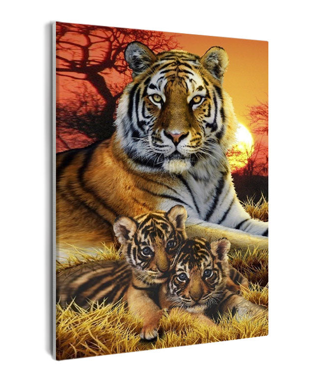 Paint By Numbers - Mother Tiger And Cubs In Serene Sunset Scene - Framed- 40x50cm - Arterium 