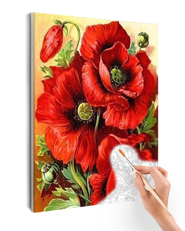 Paint By Numbers - Close Up Of Poppies - Framed- 40x50cm - Arterium 