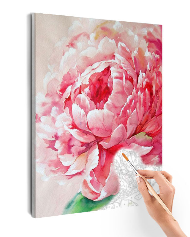 Paint By Numbers - Pink Peony - Framed- 40x50cm - Arterium 