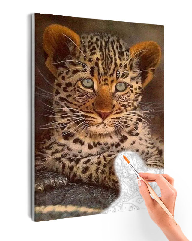 Paint By Numbers - Blue-Eyed Leopard Cub Stuns With Vibrant Spots - Framed- 40x50cm - Arterium 