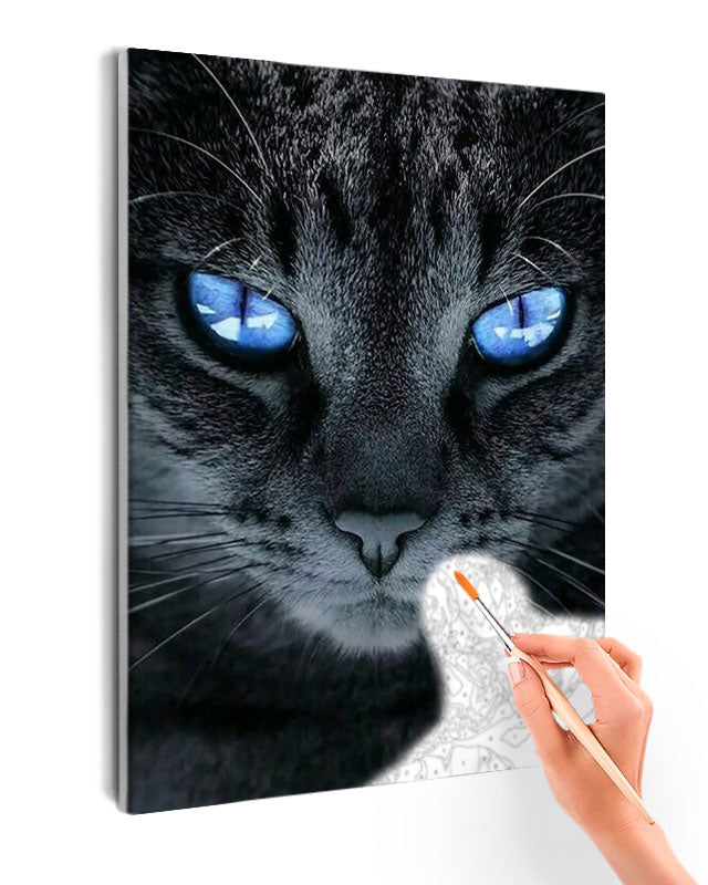 Paint By Numbers - Captivating Blue-Eyed Cat: A Serene And Mysterious Close-Up - Framed- 40x50cm - Arterium 