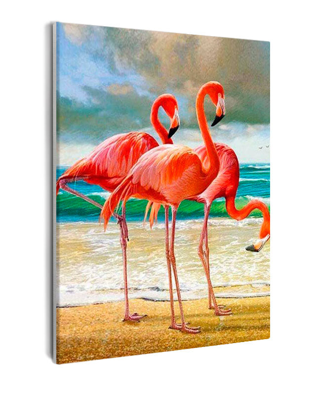 Paint By Numbers - Flamingos On Beach: Captivating Trio Amidst Ocean And Cloudy Sky - Framed- 40x50cm - Arterium 