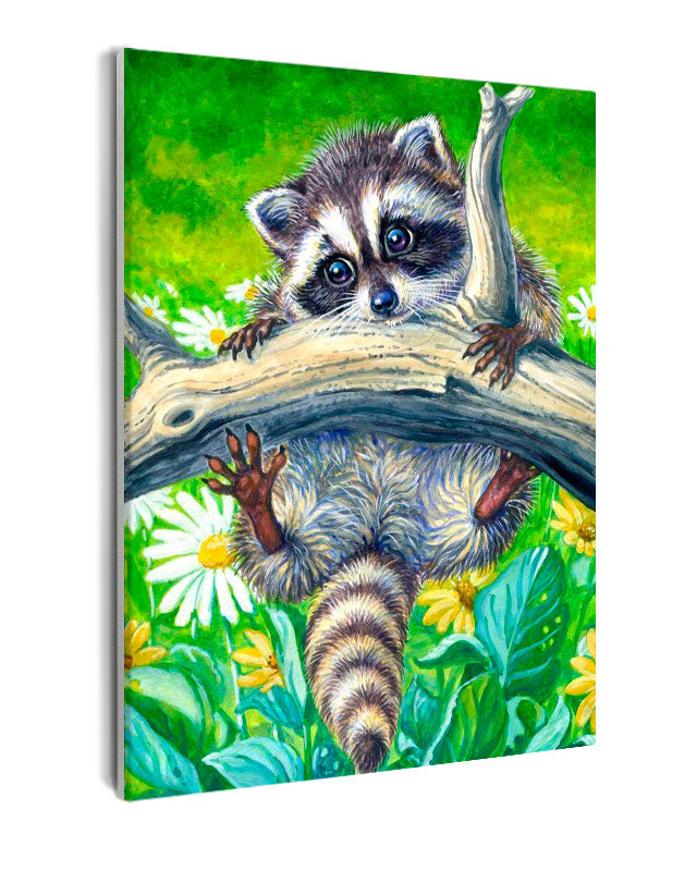 Paint By Numbers - Raccoon Hanging Of A Branch - Framed- 40x50cm - Arterium 