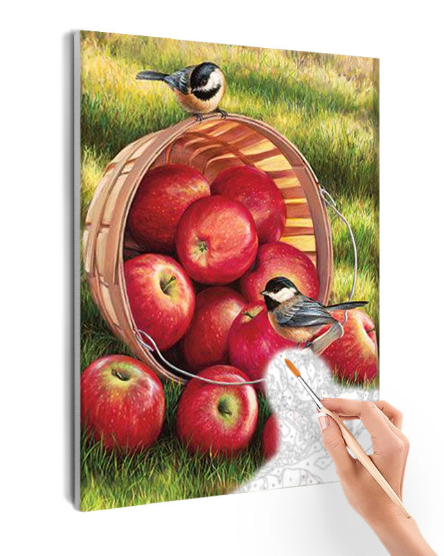 Paint By Numbers - Basket Of Apples With Birds On It - Framed- 40x50cm - Arterium 