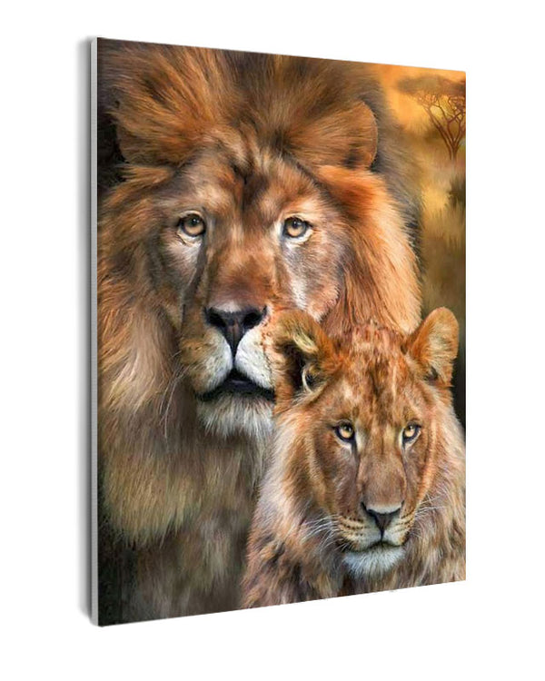 Paint By Numbers - Lion And Lioness - Framed- 40x50cm - Arterium 