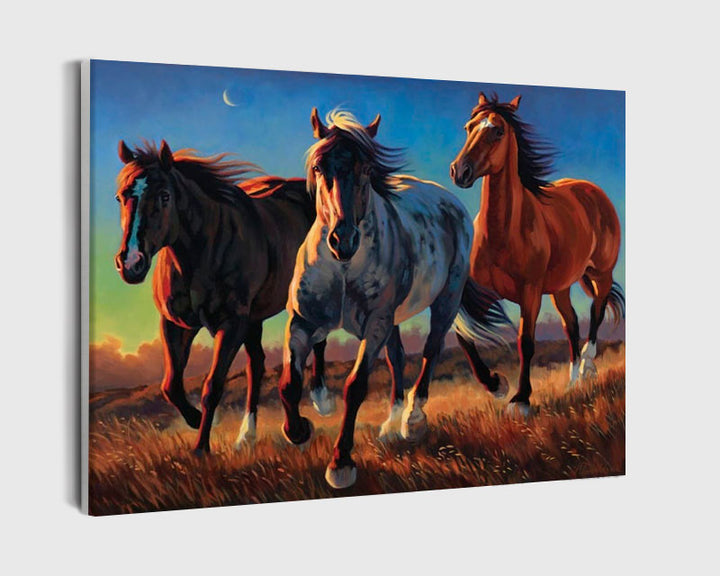 Paint By Numbers - Three Horses Two Brown And One White Are Galloping - Framed- 40x50cm - Arterium 