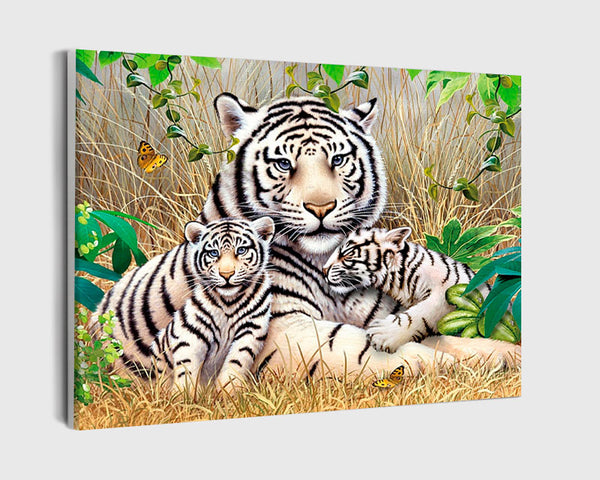 Paint By Numbers - White Tiger With Little Baby Tigers - Framed- 40x50cm - Arterium 