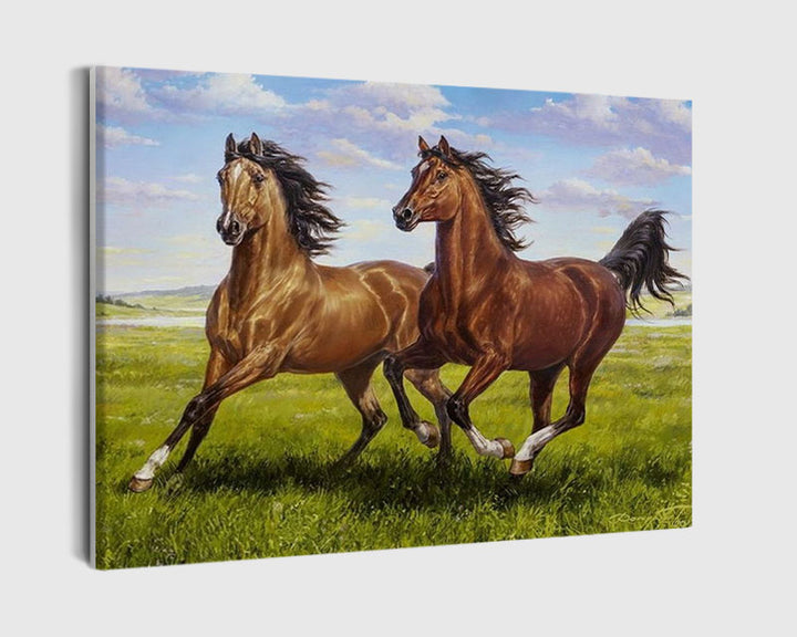 Paint By Numbers - Two Brown Horses Gallop On The Green Field - Framed- 40x50cm - Arterium 