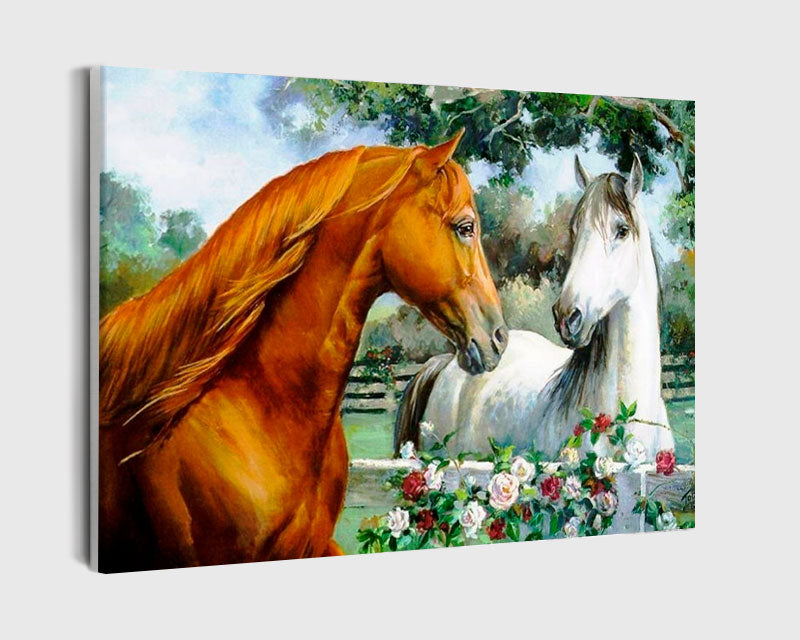 Paint By Numbers - Brown And White Horse Looking At Each Other - Framed- 40x50cm - Arterium 