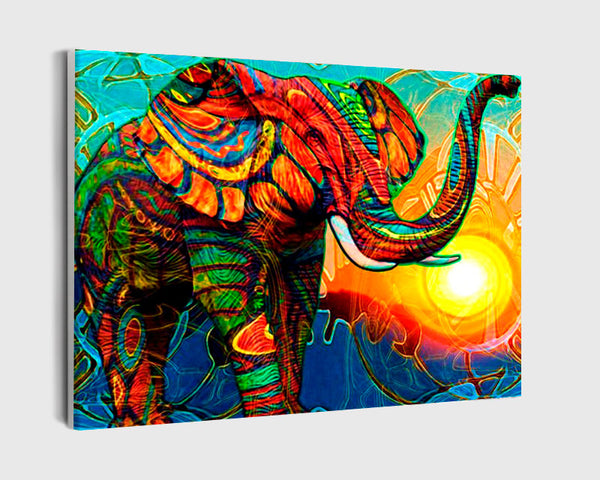 Paint By Numbers - Colourful Elephant At Sunset - Framed- 40x50cm - Arterium 
