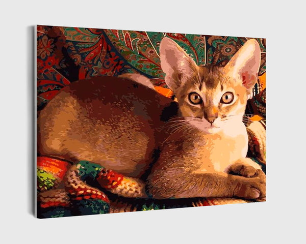 Paint By Numbers - Abyssinian Cat: Cozy Lounging On Multicolored Afghan - Framed- 40x50cm - Arterium 