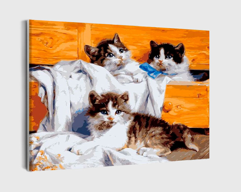 Paint By Numbers - Adorable Trio Of Kittens On Chair, Gazing Left, With Wooden Chest In Background - Framed- 40x50cm - Arterium 