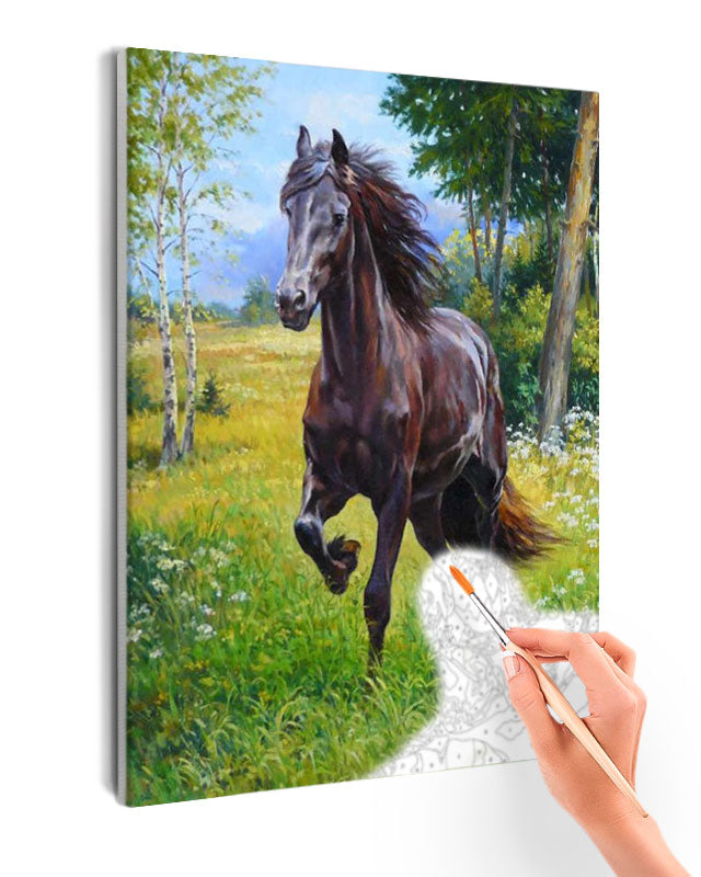 Paint By Numbers - Vigorous Black Horse Galloping Through Lush Meadow - Framed- 40x50cm - Arterium 