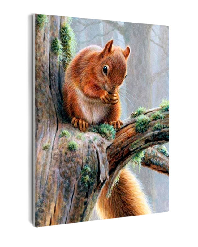 Paint By Numbers - Squirrel On The Branch Of A Tree Close-Up - Framed- 40x50cm - Arterium 
